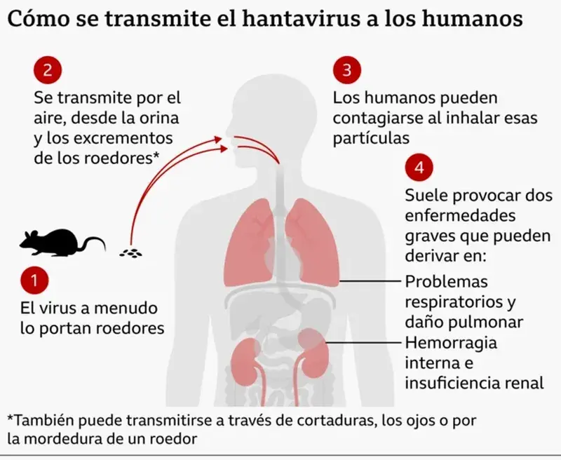 HUmanos