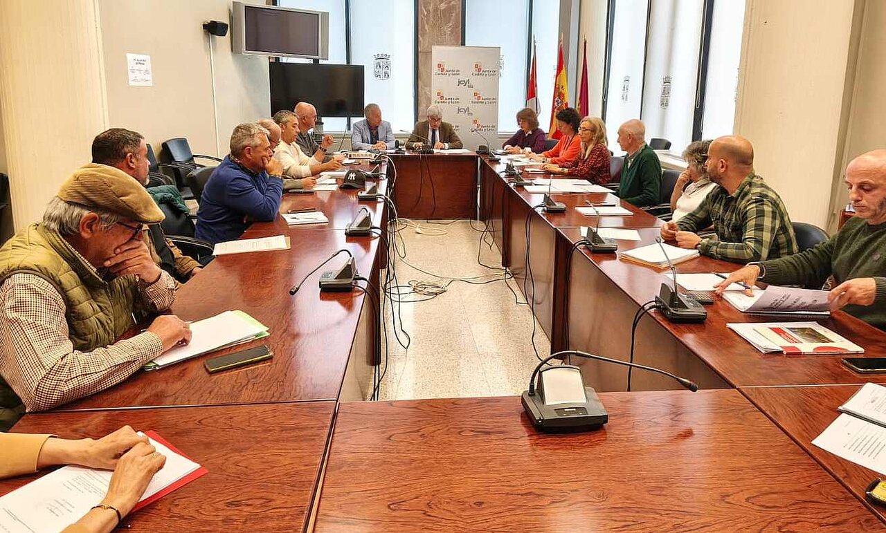 Plan Mejoras 2026 IV
