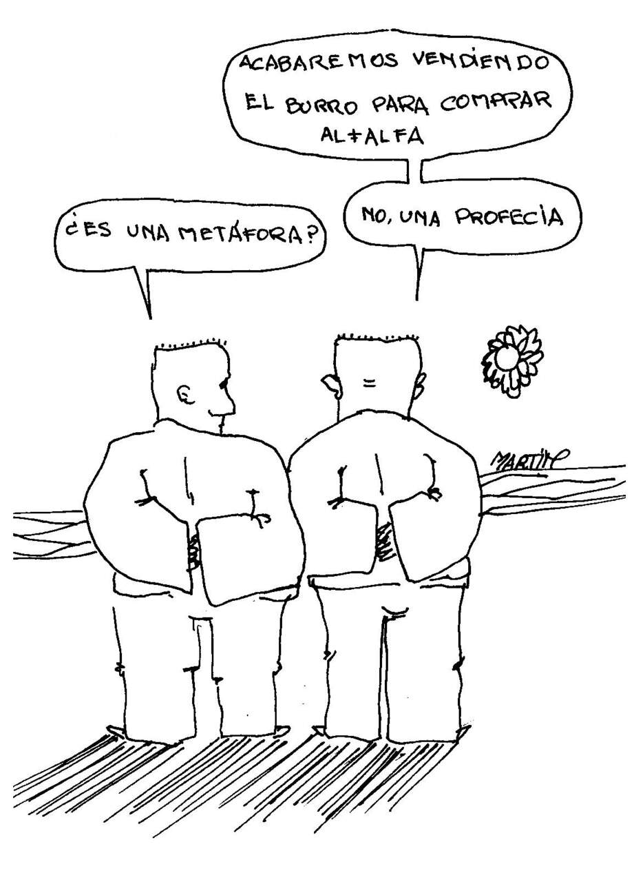 COMPRAR ALFALFA