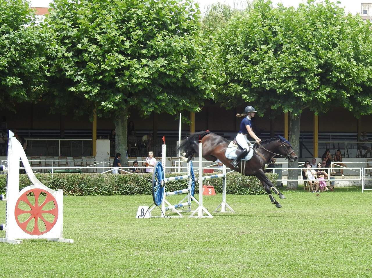 hipico2