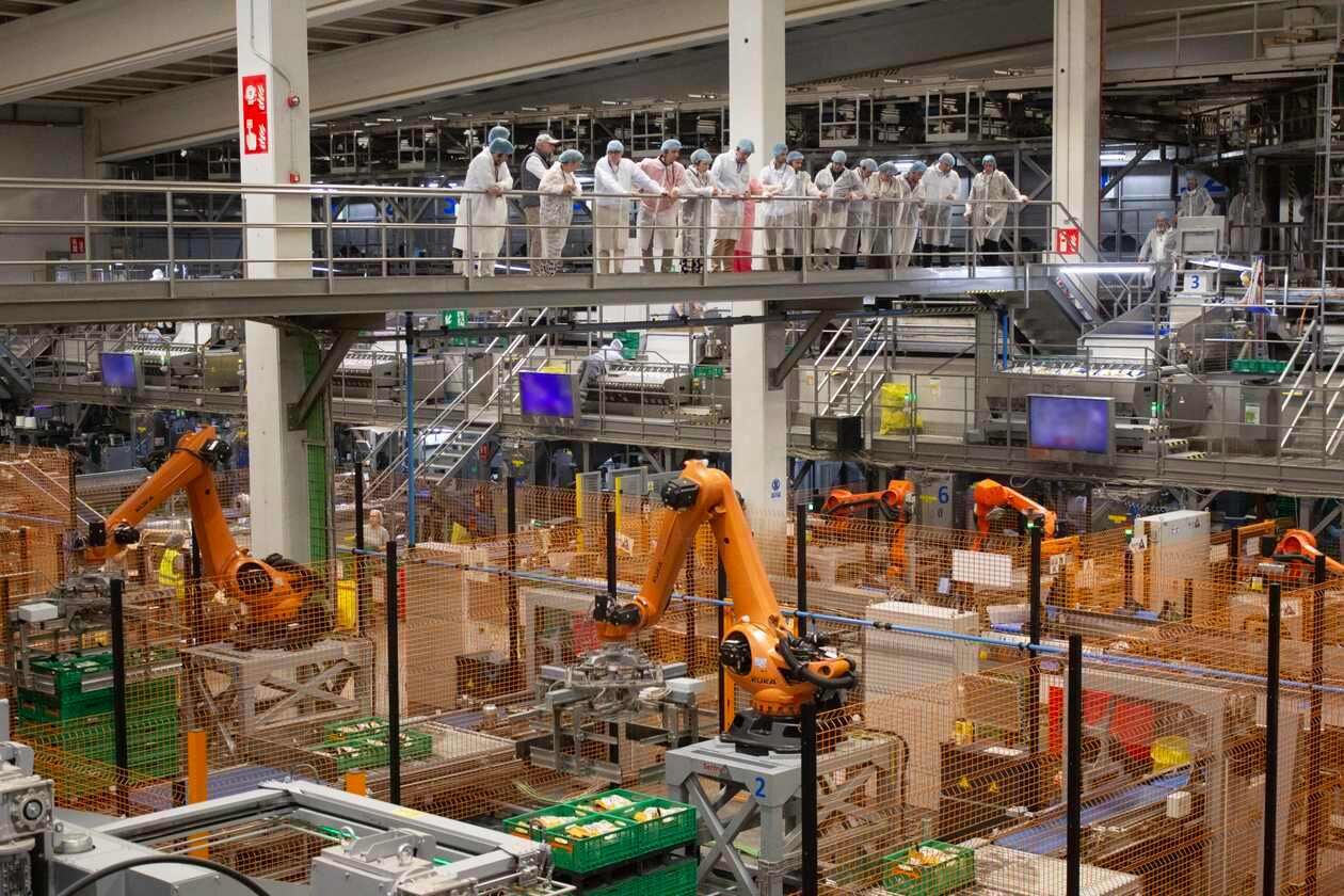 VISITA CEOS MARCA&INNOVACION HIJOLUSA (3)