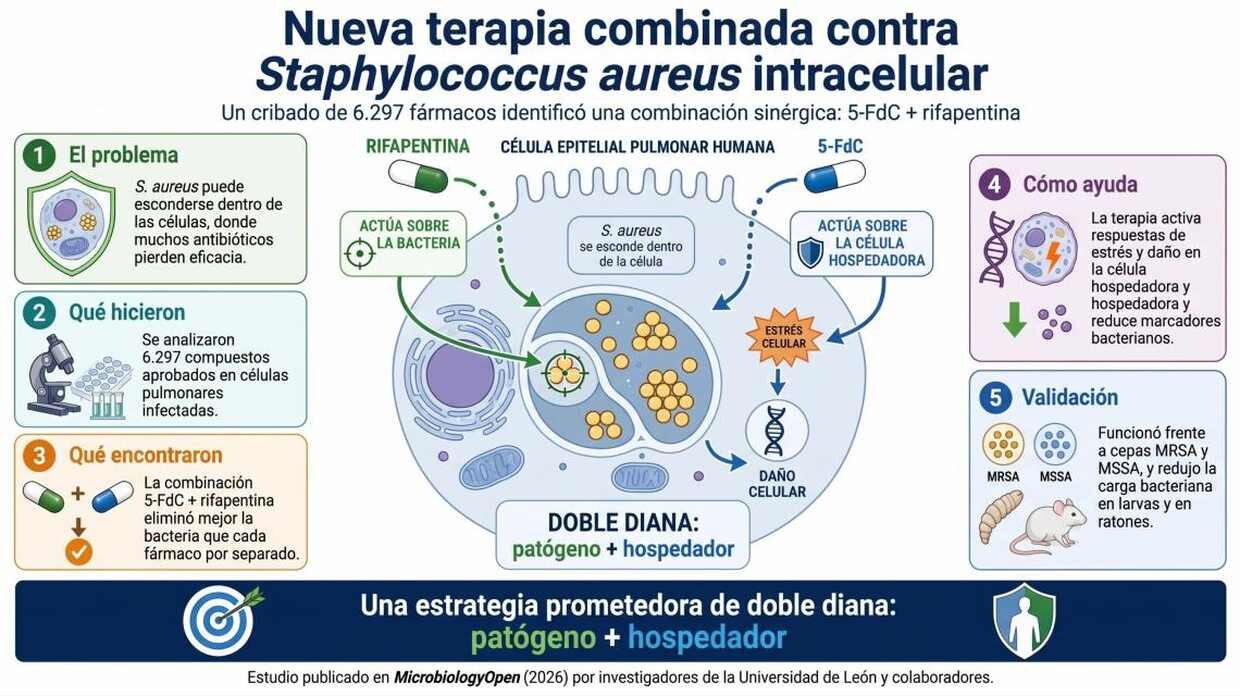 infograma_que_explica_el_trabajo_y_resultados_de_la_investigacion