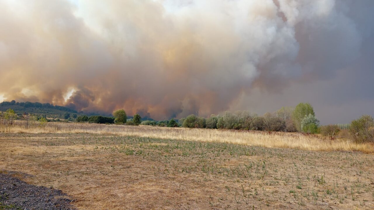 Incendios (2)