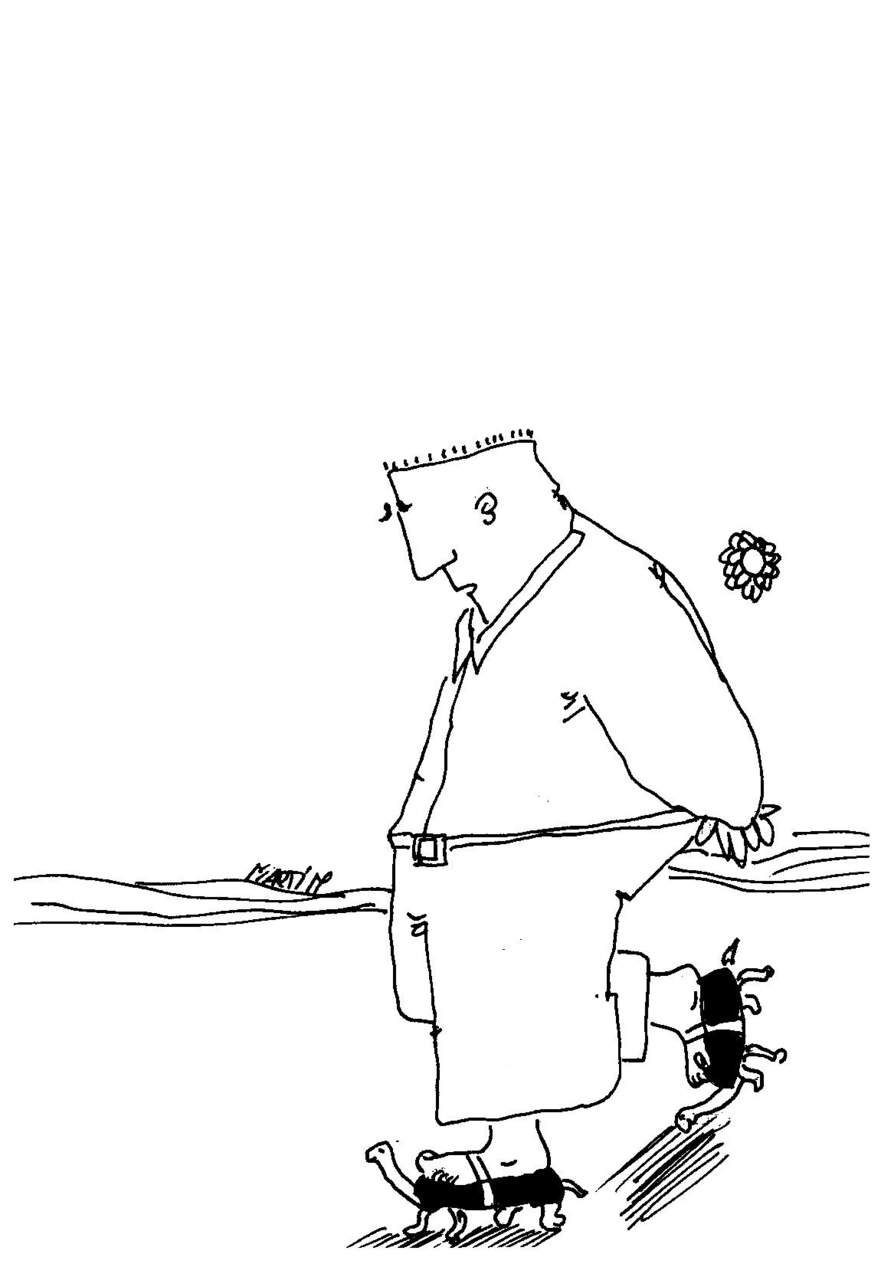 EL PATINADOR