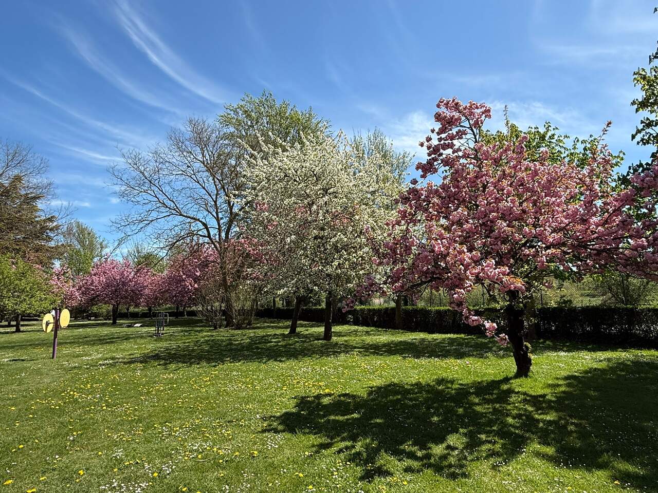 parque la granja